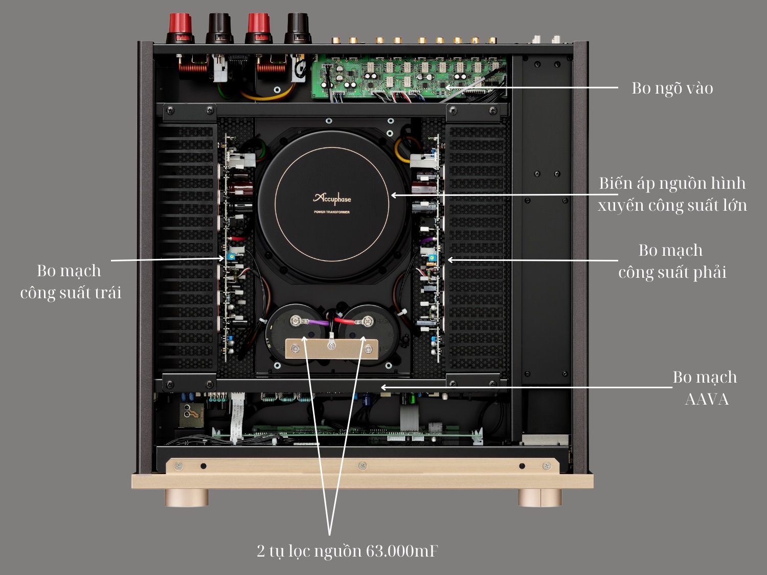 Ampli Accuphase E-800S chính hãng giá tốt | Anh Duy Audio