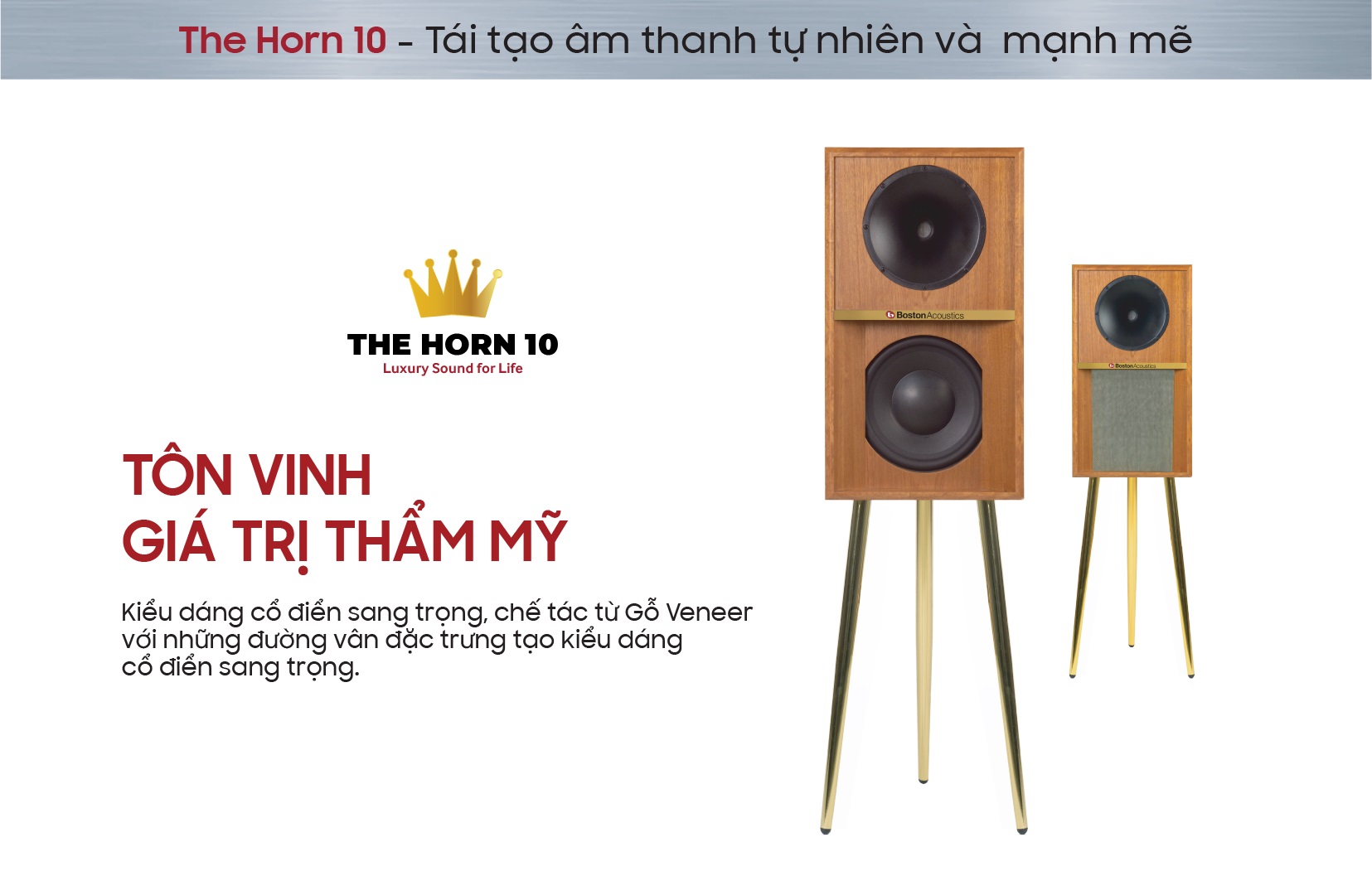 Boston Acoustics The Horn 10 | Anh Duy Audio