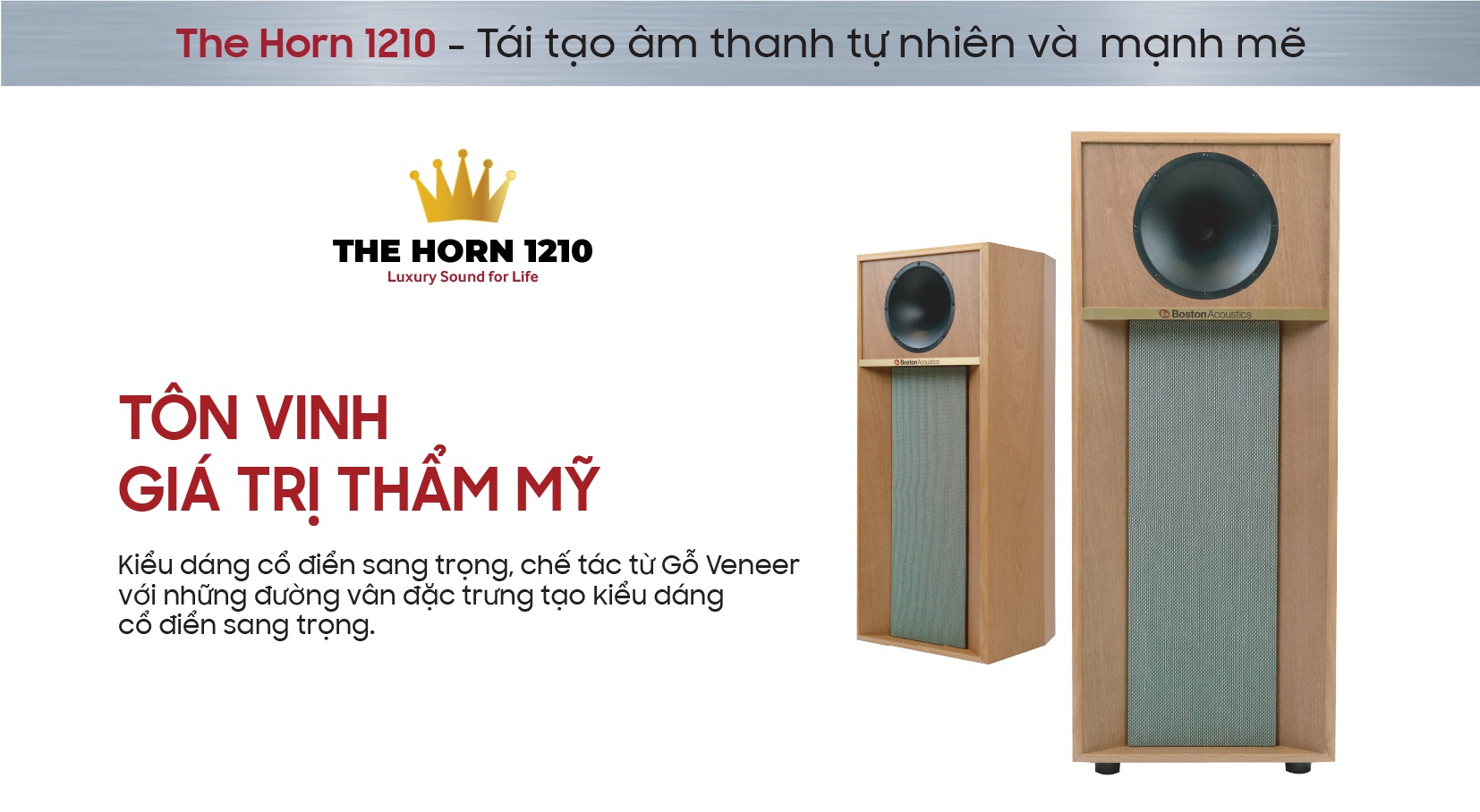 Boston Acoustics The Horn 1210 | Anh Duy Audio