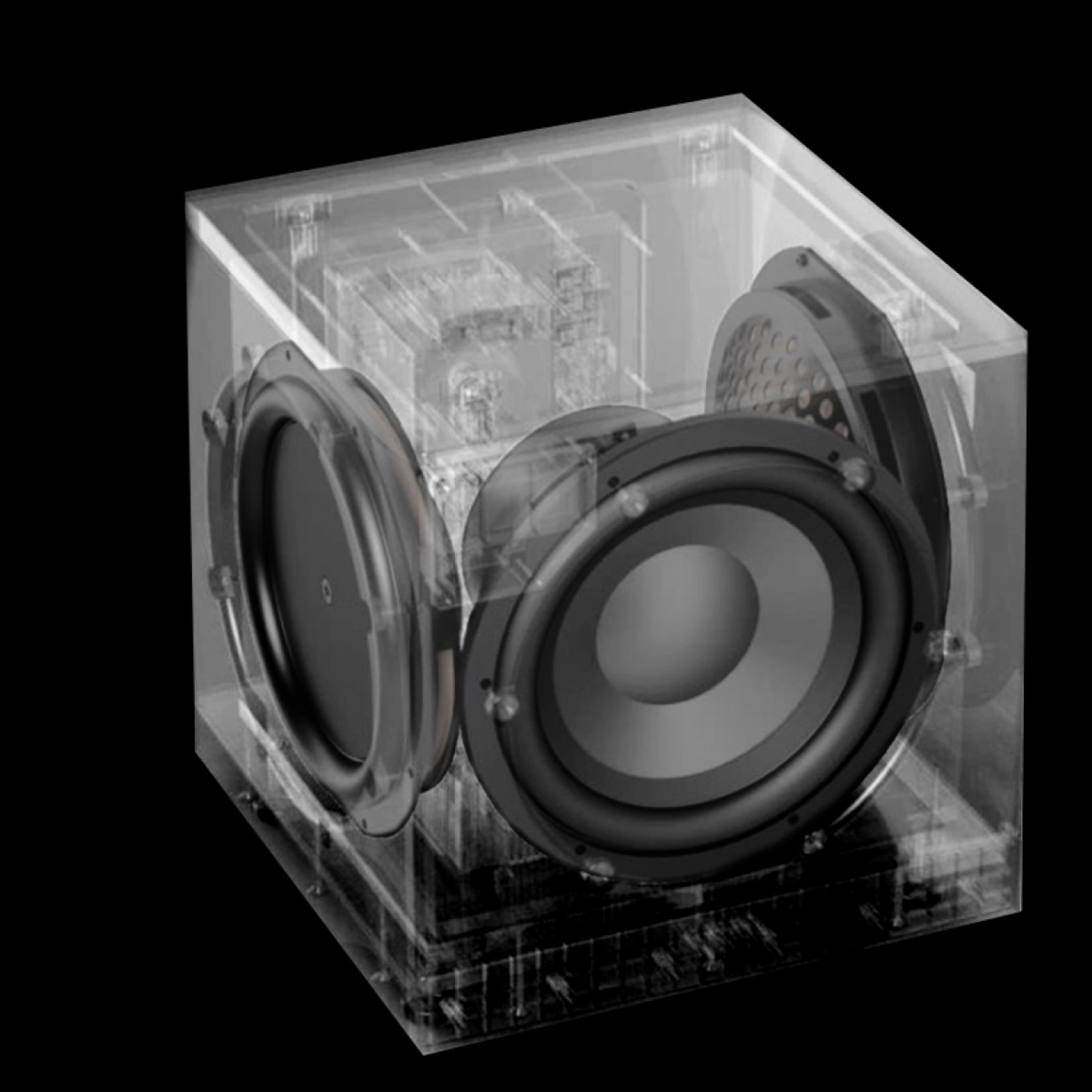 Loa Subwoofer Hi-end Definitive Technology DN10 | Anh Duy Audio