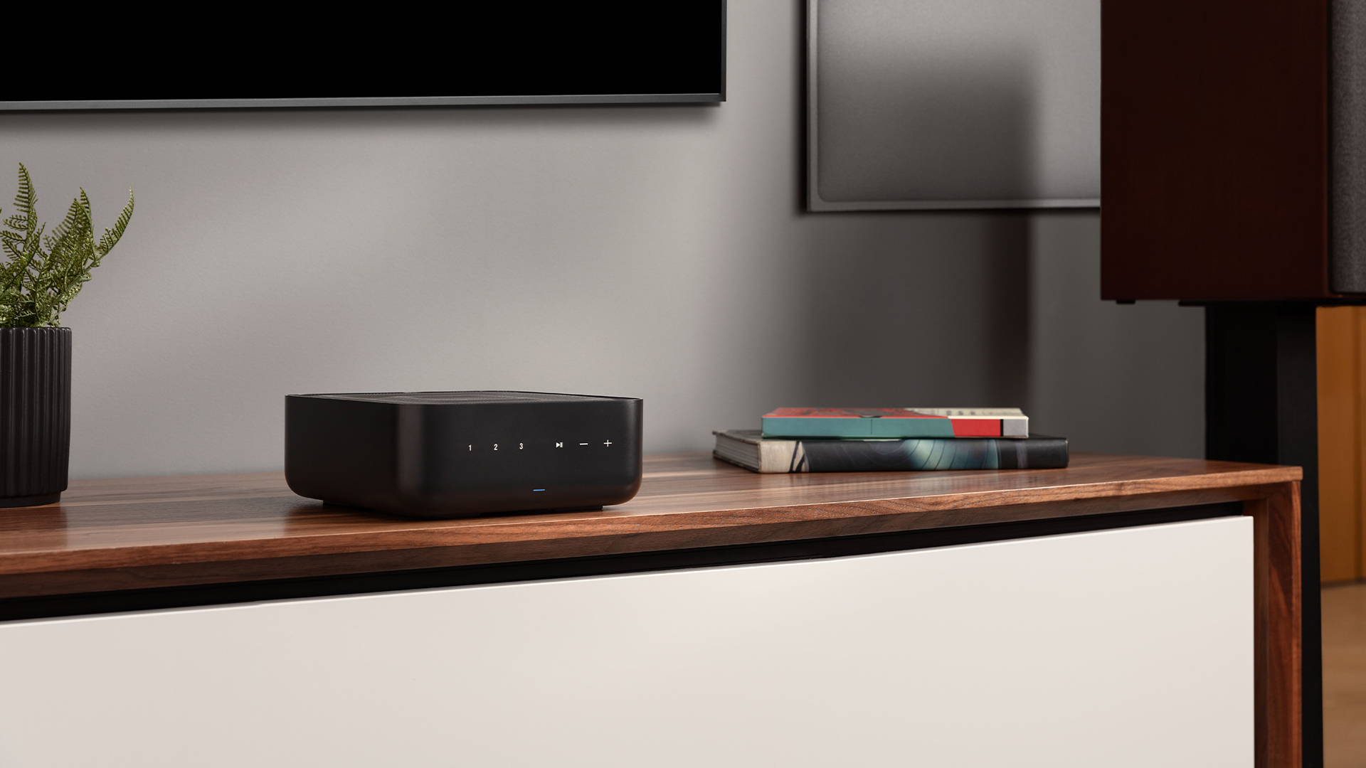 Music Streaming Amplifier Denon Home Amp | Anh Duy Audio