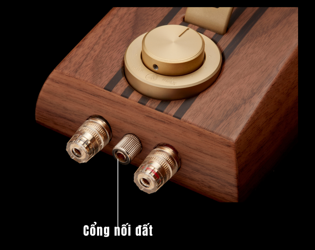 Fyne Audio SuperTrax | Anh Duy Audio