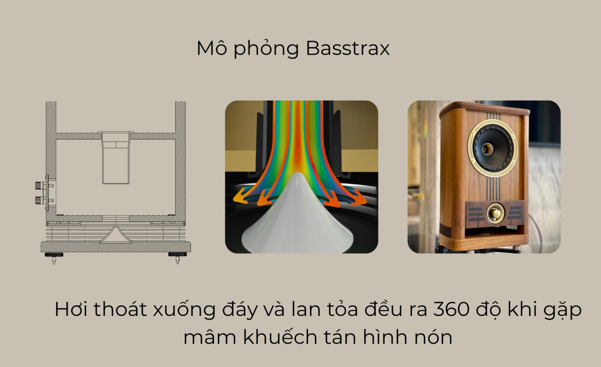 Fyne Audio Vintage 5 | Anh Duy Audio