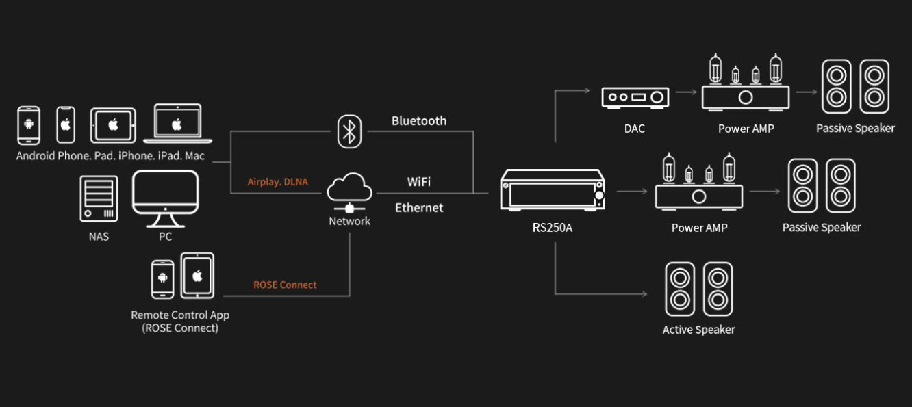 Music Server HiFi Rose RS250A | Anh Duy Audio