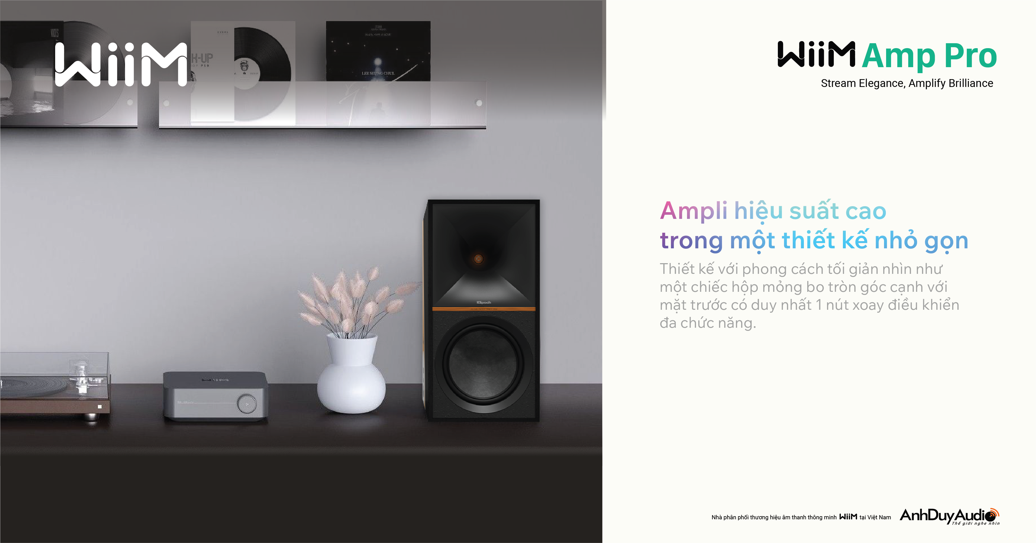 Music Streaming Amplifier WiiM Amp Pro | Anh Duy Audio