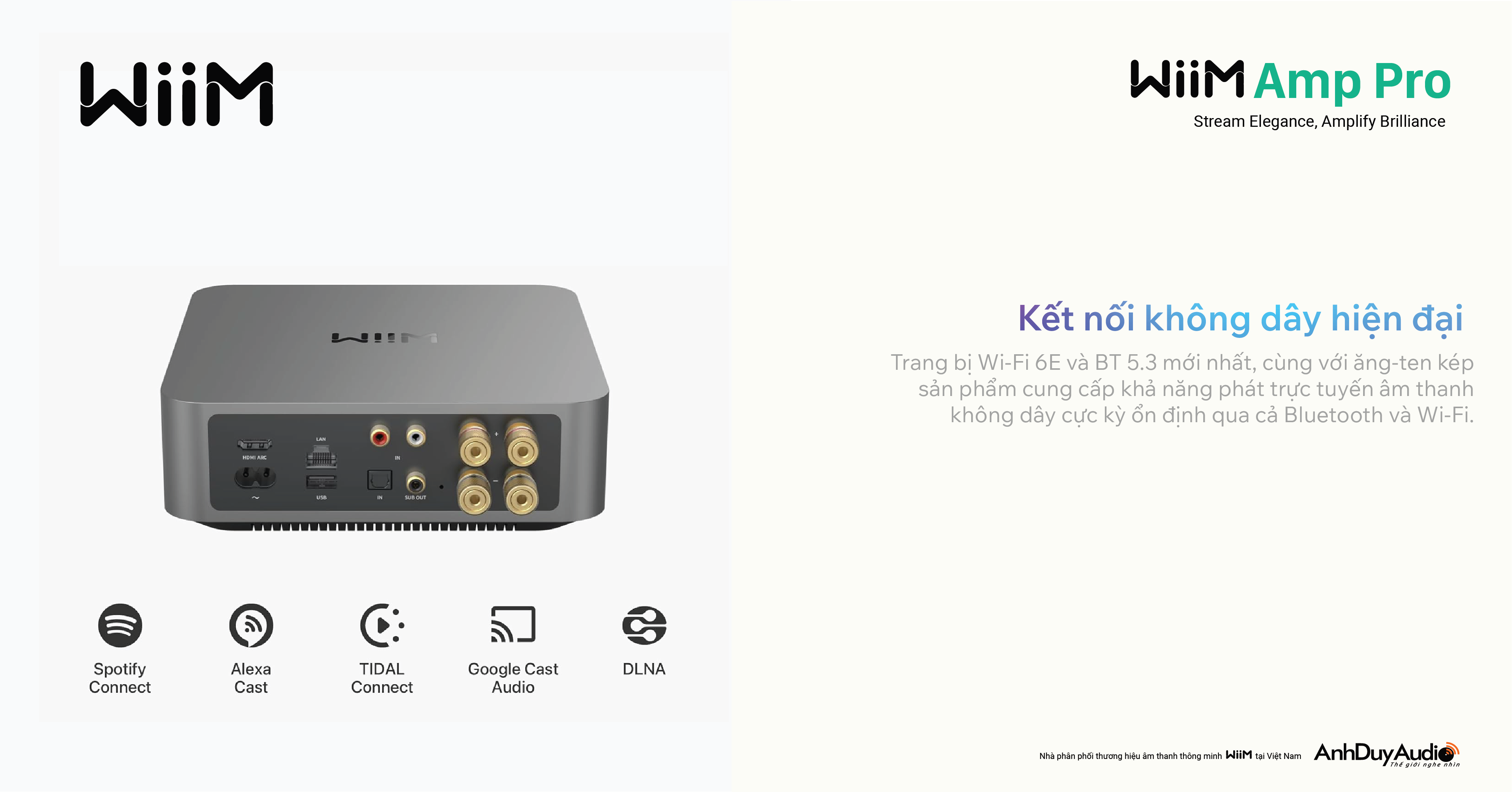 Music Streaming Amplifier WiiM Amp Pro | Anh Duy Audio