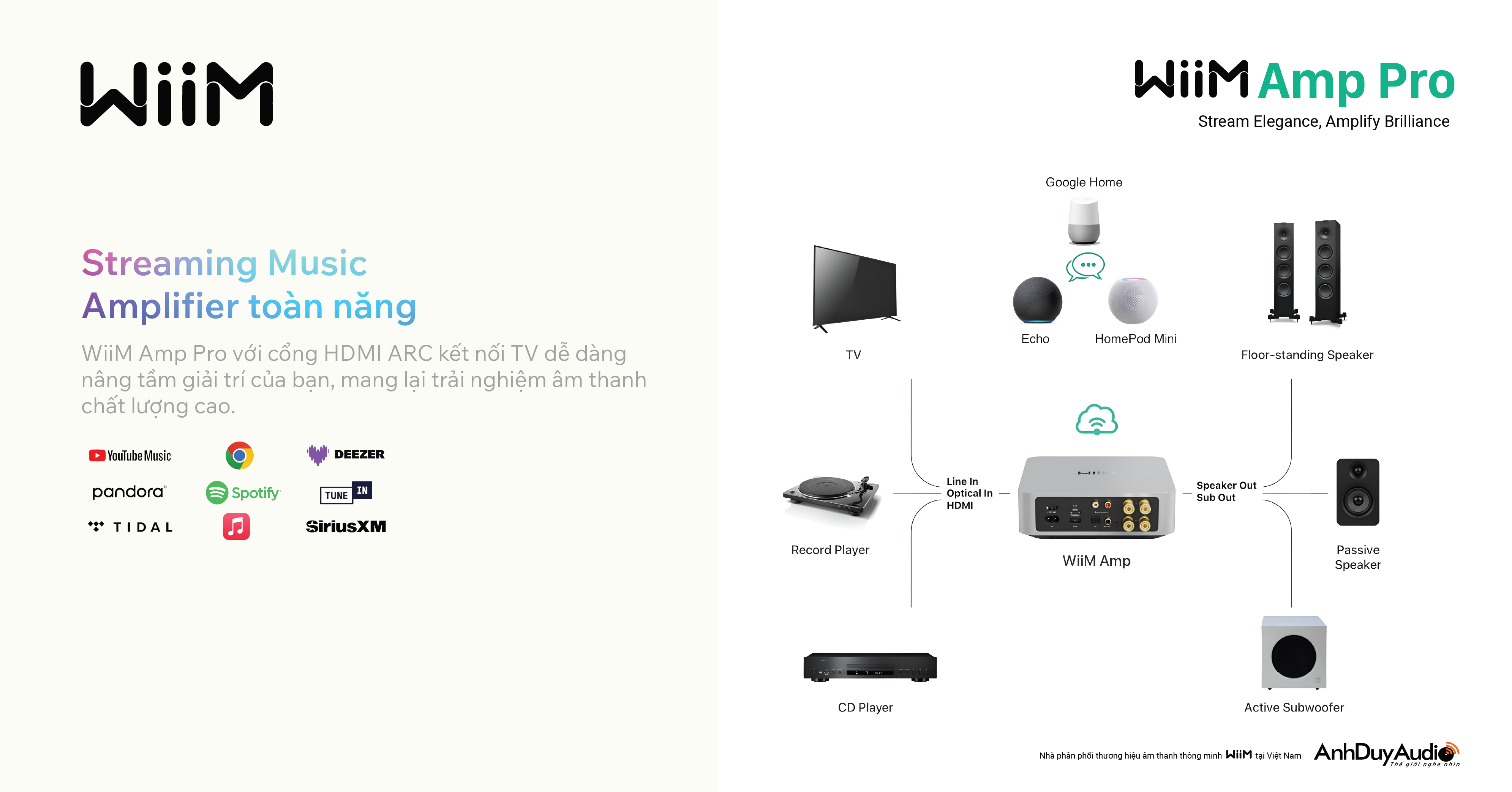 Music Streaming Amplifier WiiM Amp Pro | Anh Duy Audio