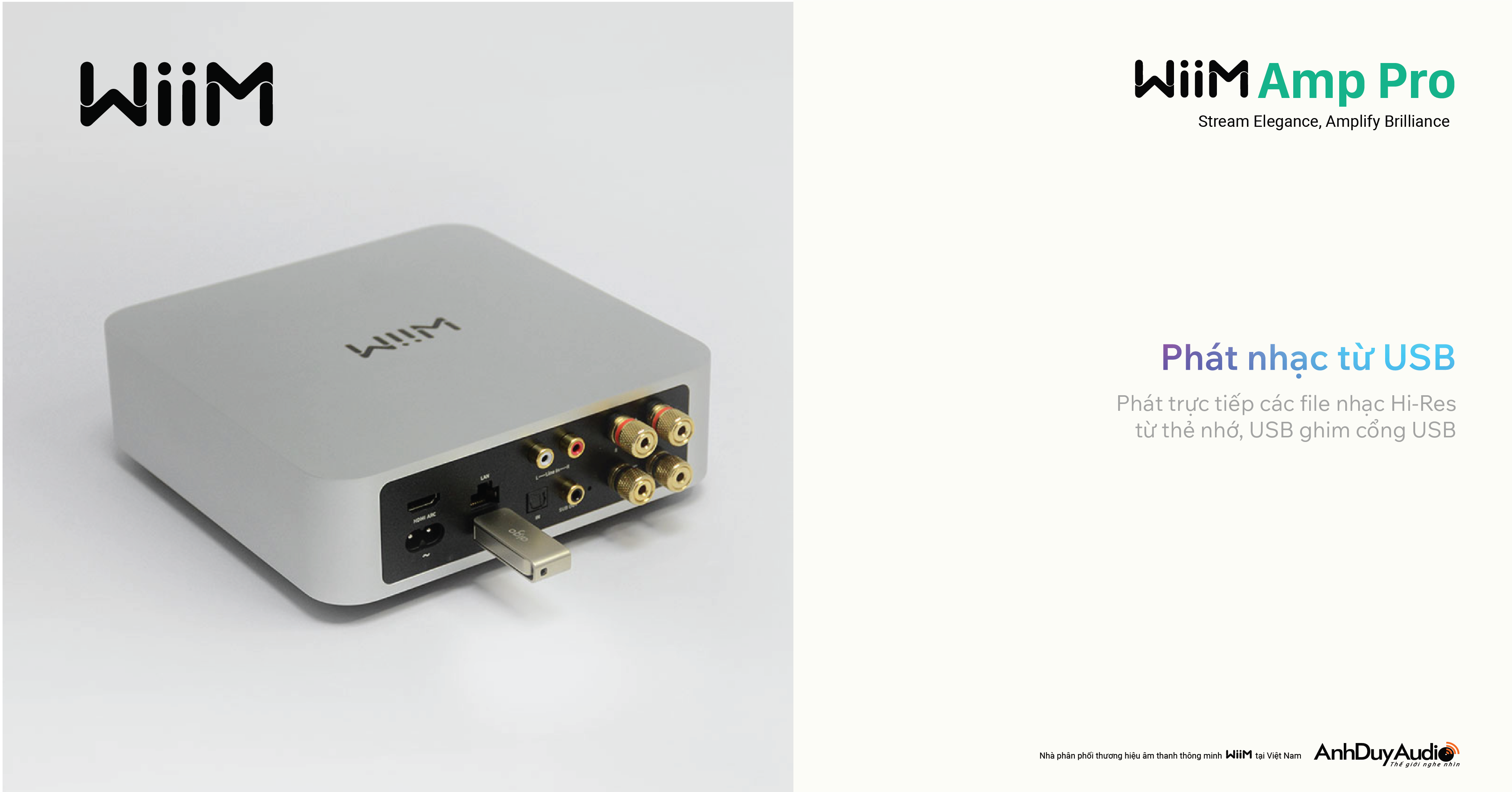 Music Streaming Amplifier WiiM Amp Pro | Anh Duy Audio