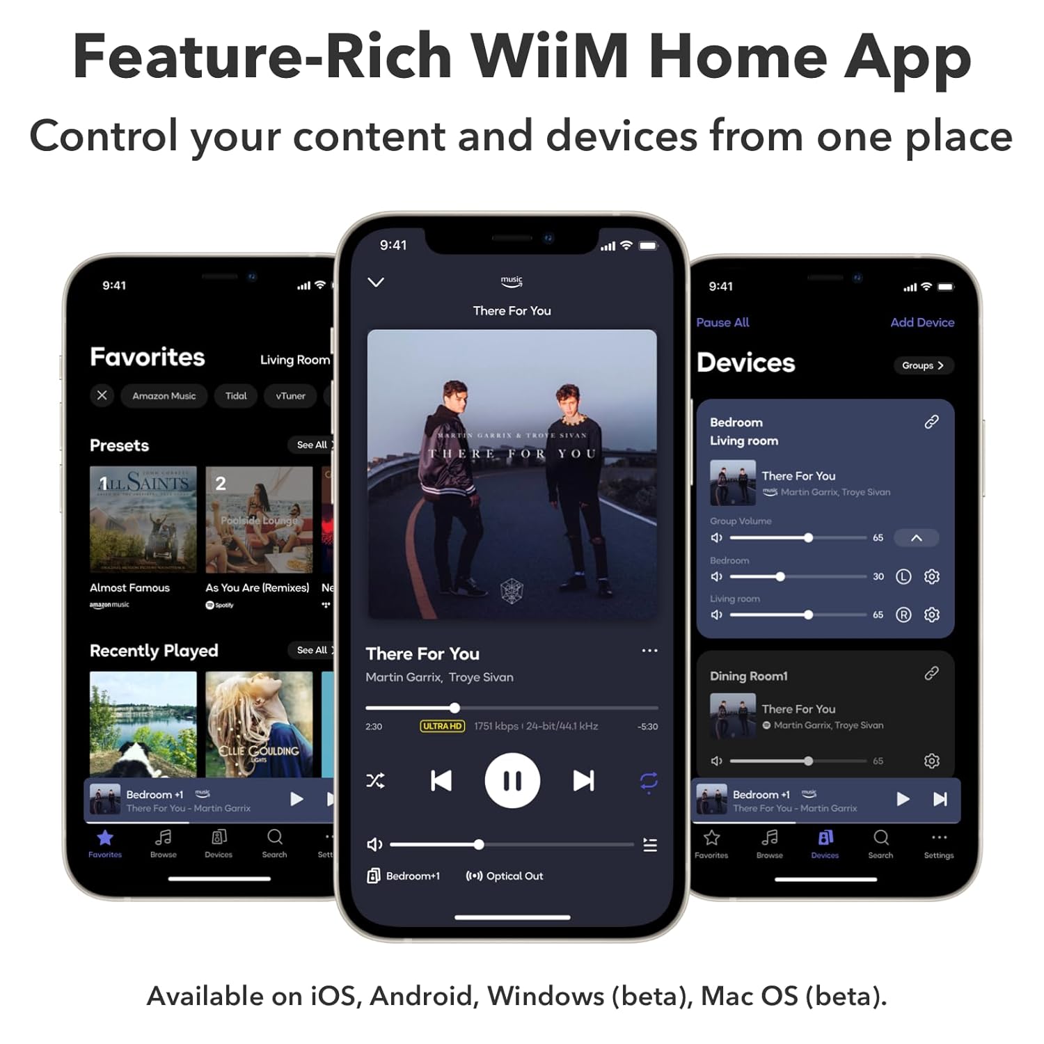 Music Streaming Amplifier WiiM Amp Ultra | Anh Duy Audio