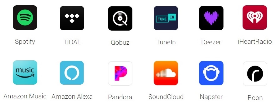 Music Streaming Amplifier WiiM Amp Ultra | Anh Duy Audio