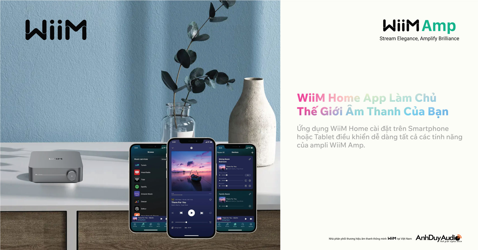 Streaming Music Amplifier WiiM Amp | Anh Duy Audio