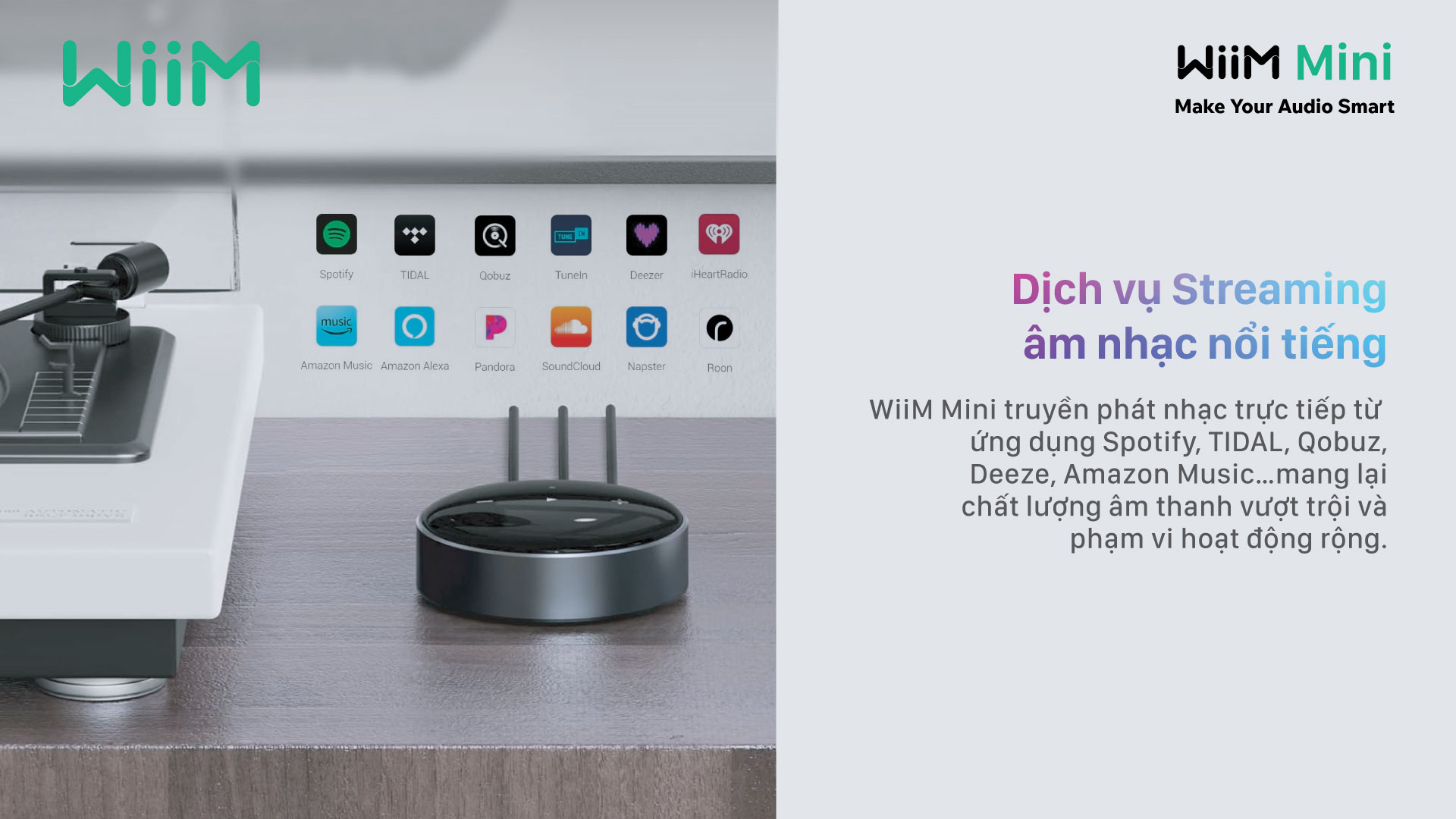 Streaming Music WiiM Mini | Anh Duy Audio