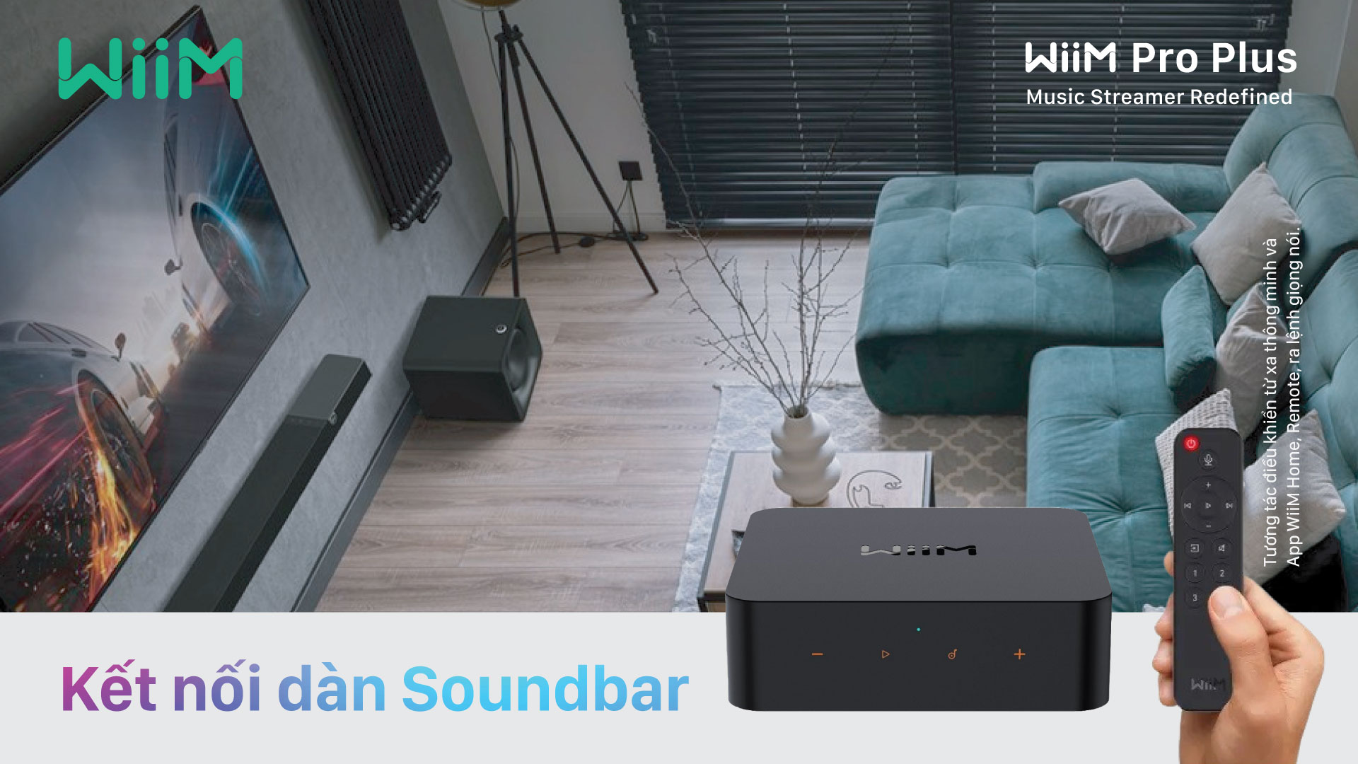 Music Streaming Pre-Amplifier WiiM Pro Plus | Anh Duy Audio