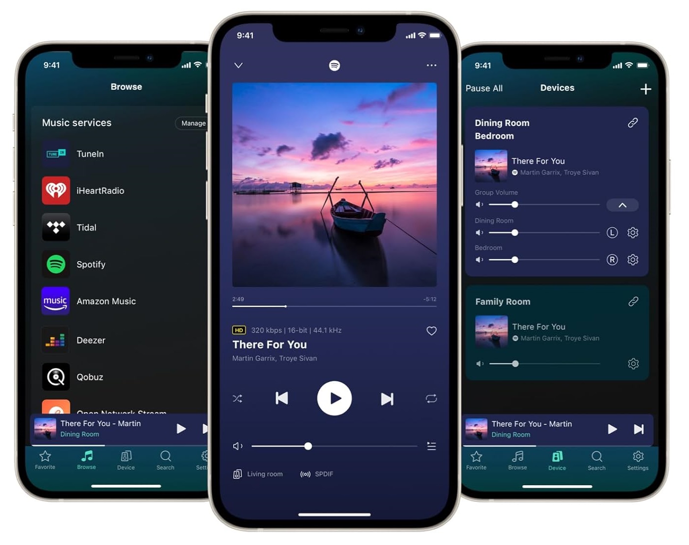 Streaming Music Pre-Amplifier WiiM Pro | Anh Duy Audio