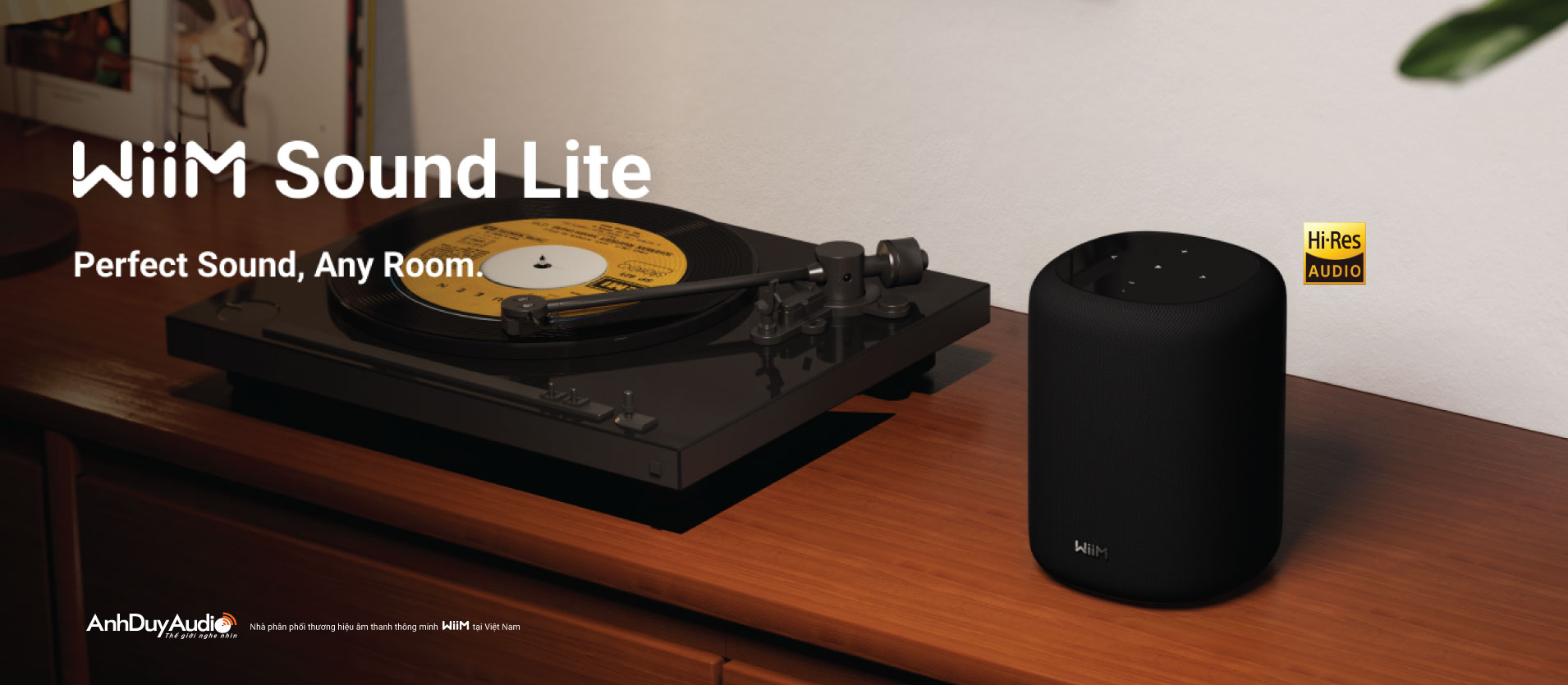 Loa không dây WiiM Sound Lite | Anh Duy Audio