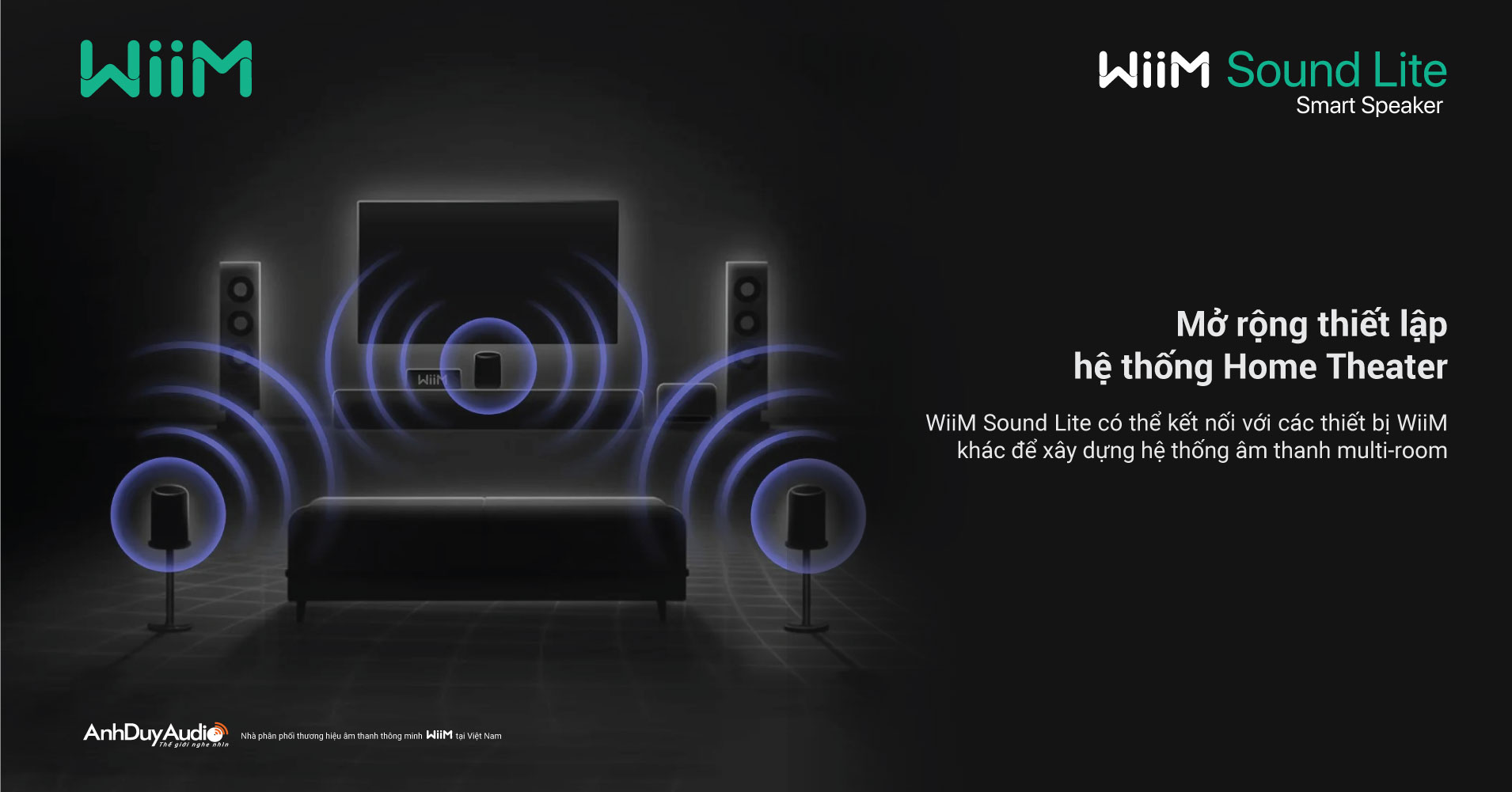 Loa không dây WiiM Sound Lite | Anh Duy Audio
