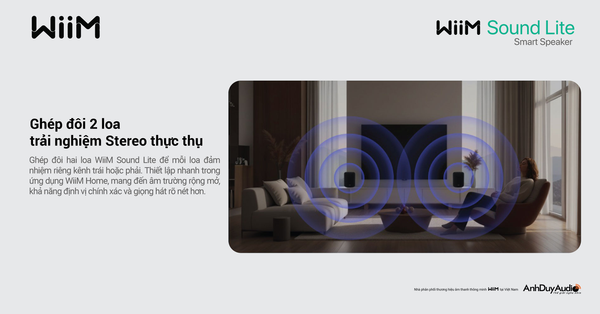 Loa không dây WiiM Sound Lite | Anh Duy Audio