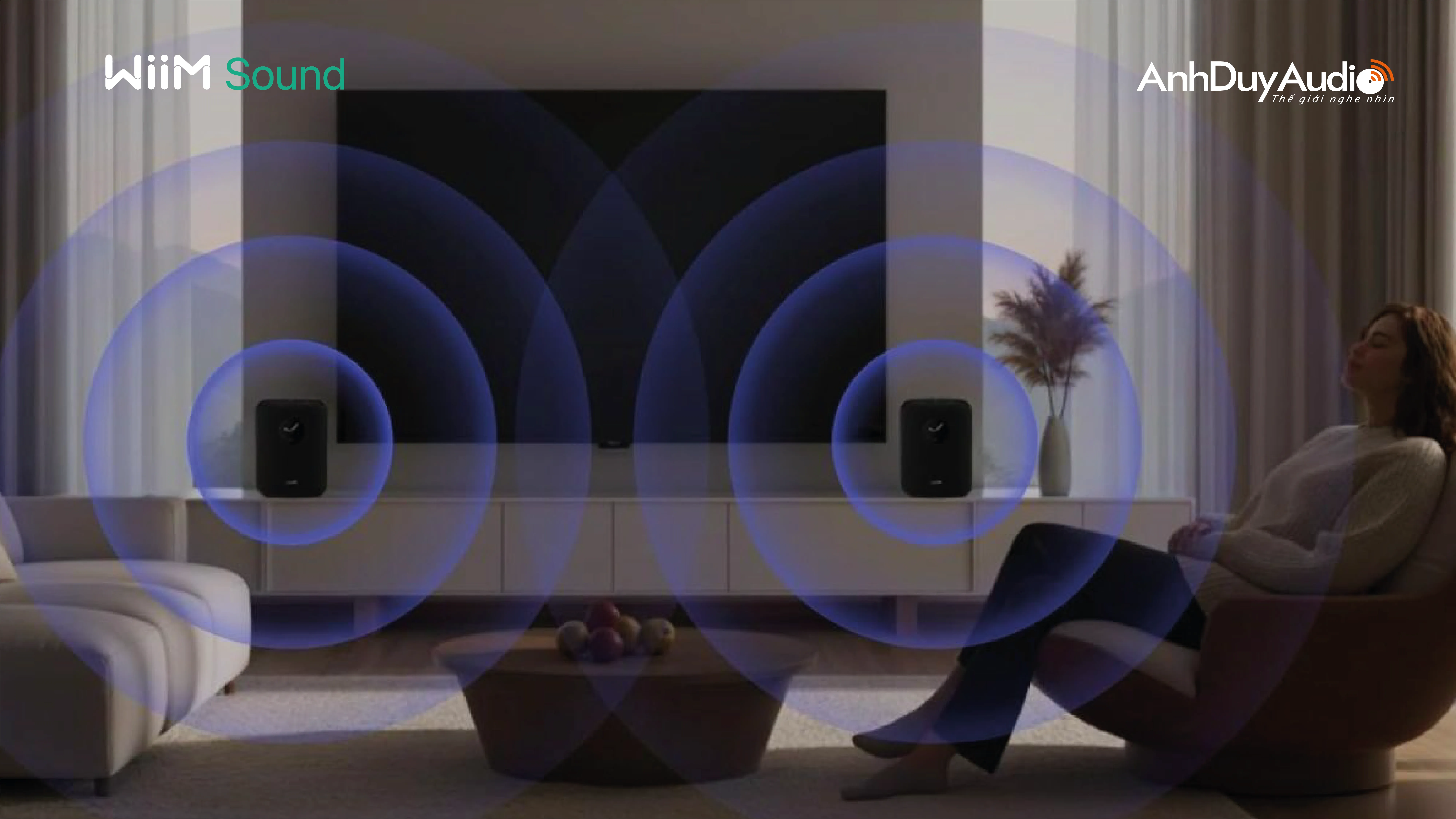 Loa không dây WiiM Sound | Anh Duy Audio