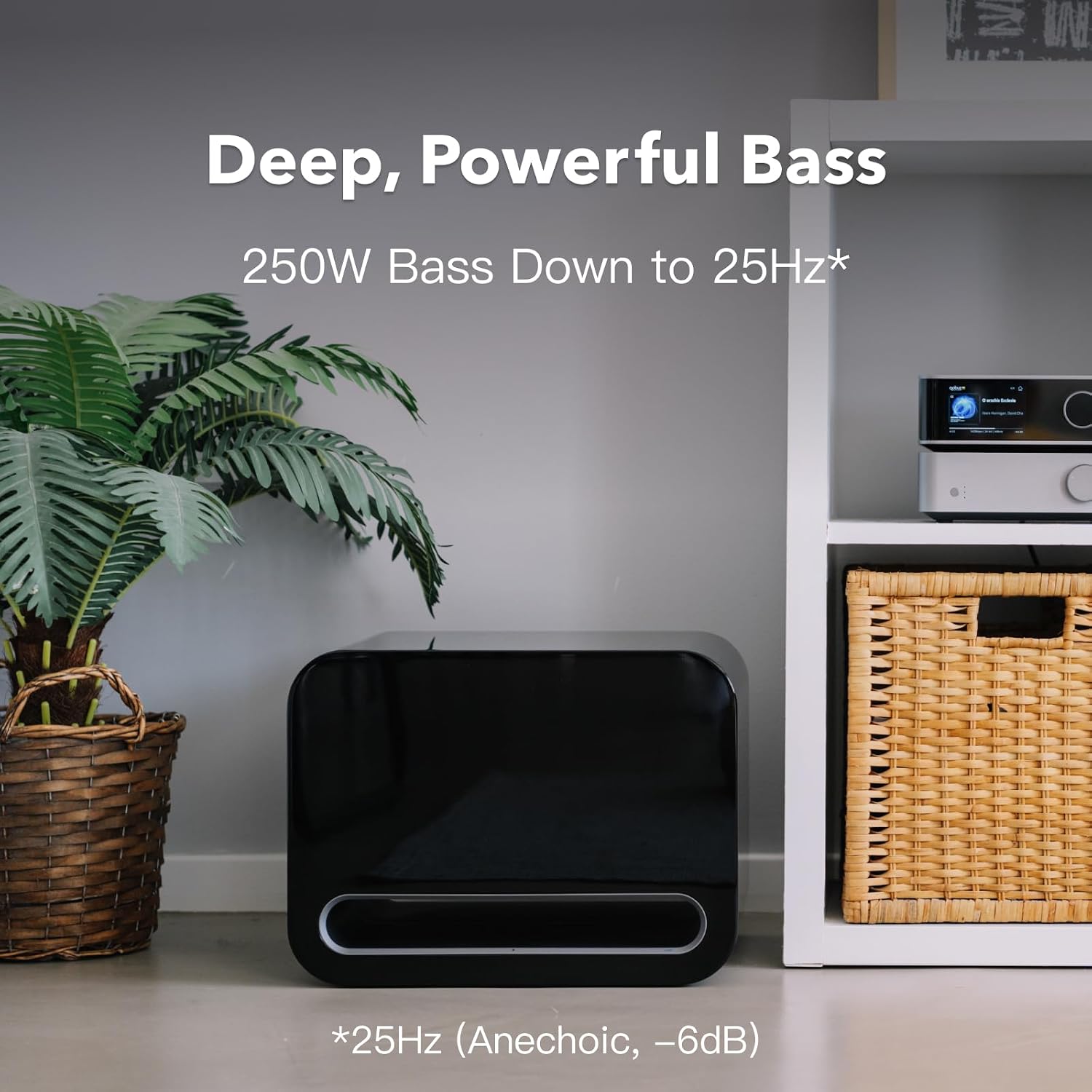 WiiM Sub Pro | Anh Duy Audio