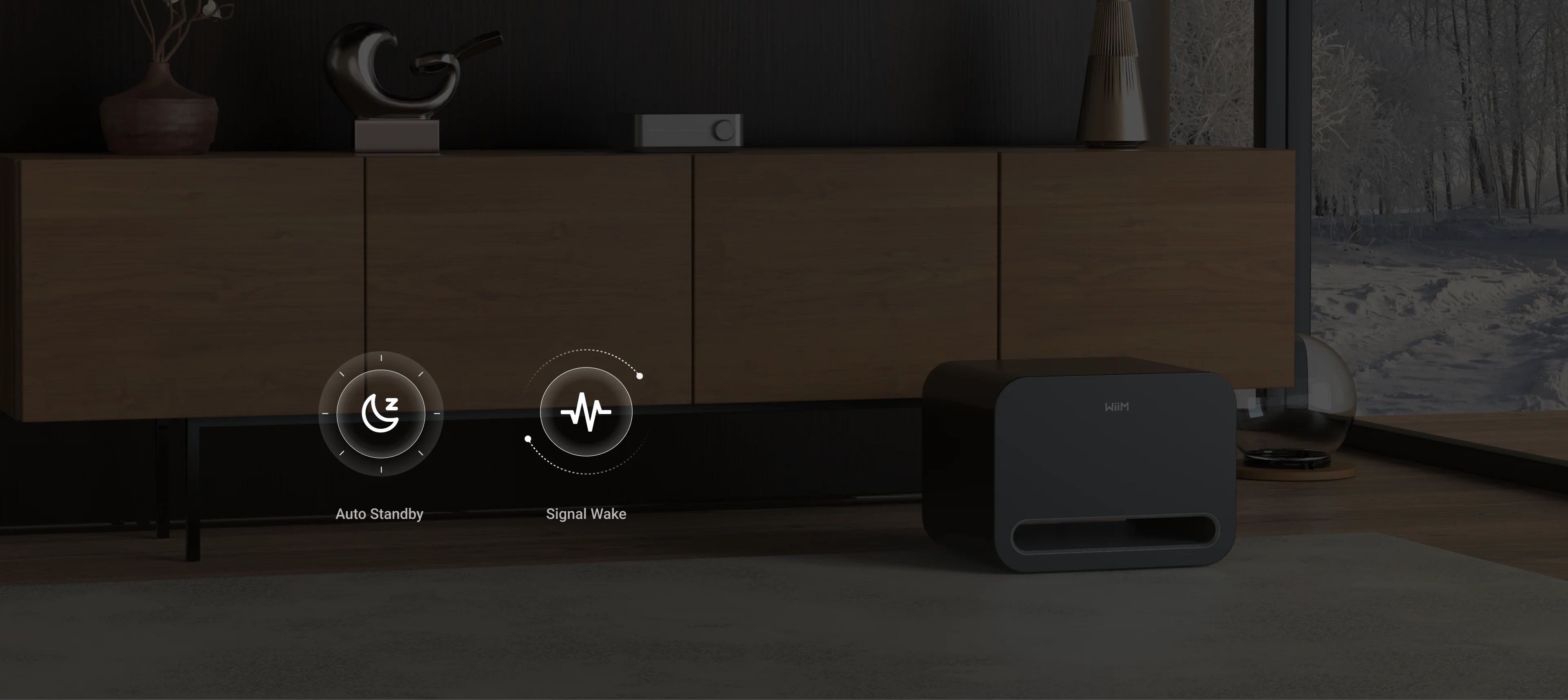 WiiM Sub Pro | Anh Duy Audio