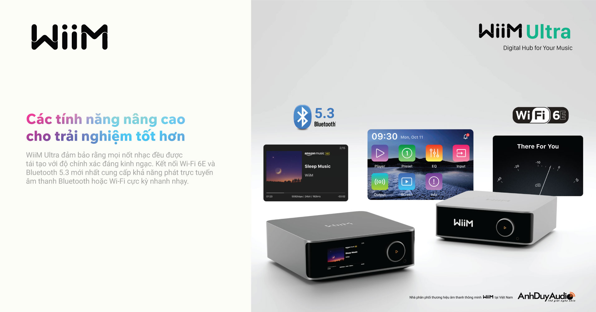 Music Streaming Pre-Amplifier WiiM Ultra | Anh Duy Audio