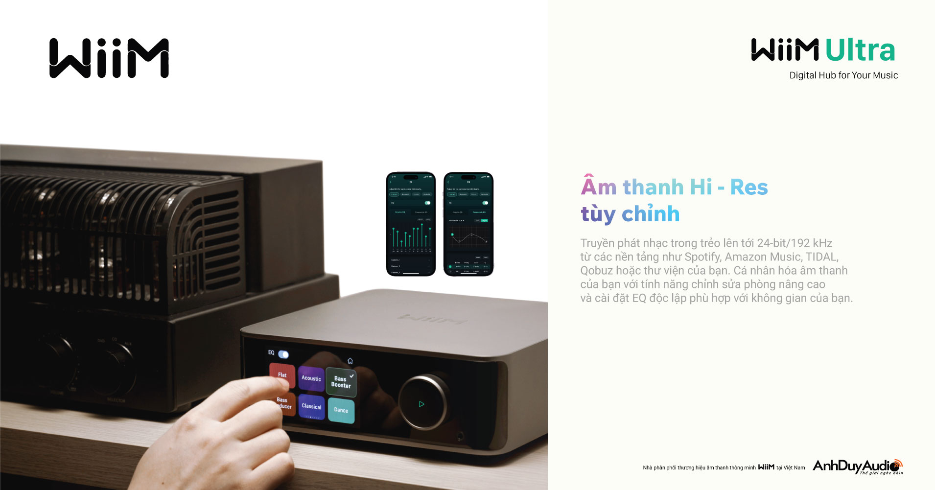 Music Streaming Pre-Amplifier WiiM Ultra | Anh Duy Audio